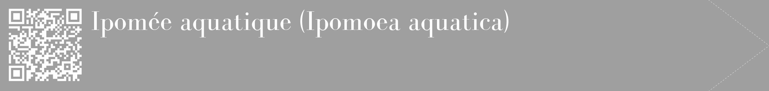 Étiquette de : Ipomoea aquatica - format c - style blanche24_simple_simplebod avec qrcode et comestibilité