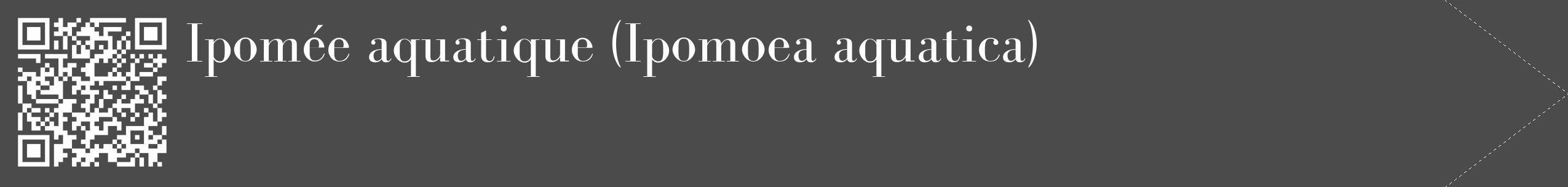 Étiquette de : Ipomoea aquatica - format c - style blanche9_simple_simplebod avec qrcode et comestibilité