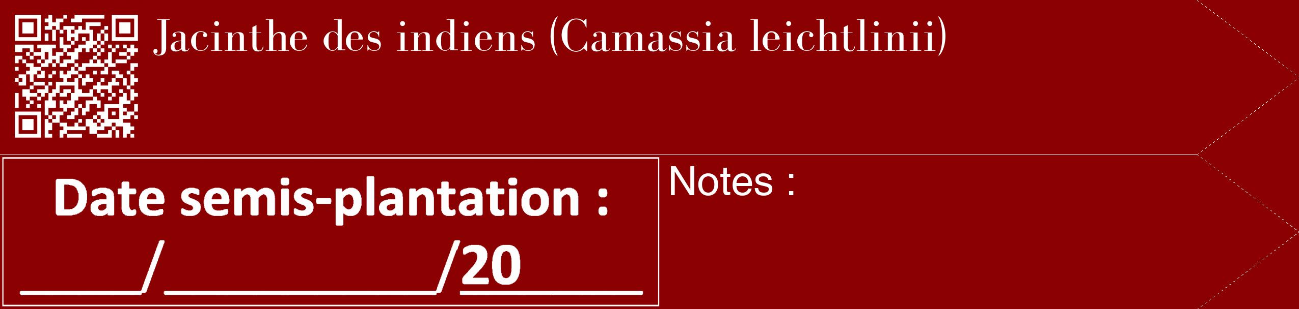 Étiquette de : Camassia leichtlinii - format c - style blanche34_simple_simplebod avec qrcode et comestibilité