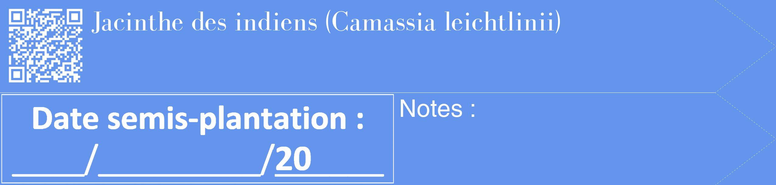 Étiquette de : Camassia leichtlinii - format c - style blanche4_simple_simplebod avec qrcode et comestibilité