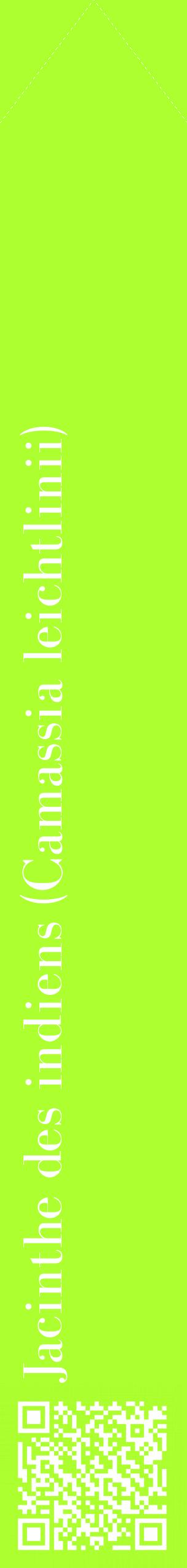 Étiquette de : Camassia leichtlinii - format c - style blanche17_simplebod avec qrcode et comestibilité