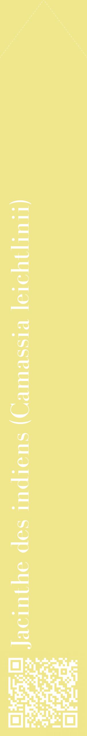 Étiquette de : Camassia leichtlinii - format c - style blanche20_simplebod avec qrcode et comestibilité