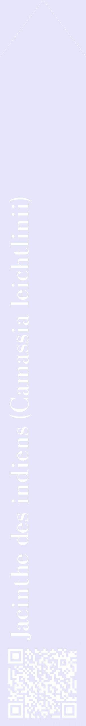 Étiquette de : Camassia leichtlinii - format c - style blanche55_simplebod avec qrcode et comestibilité