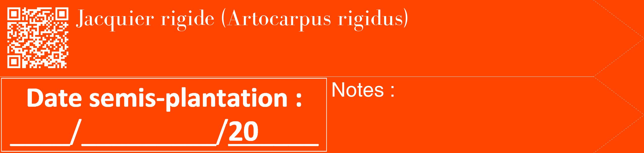 Étiquette de : Artocarpus rigidus - format c - style blanche26_simple_simplebod avec qrcode et comestibilité