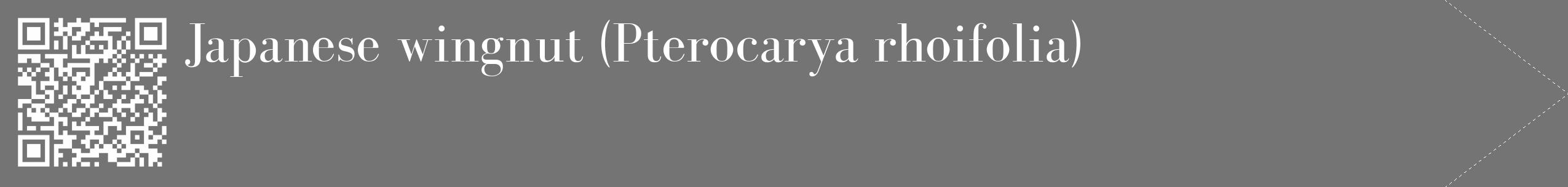 Étiquette de : Pterocarya rhoifolia - format c - style blanche26_simple_simplebod avec qrcode et comestibilité