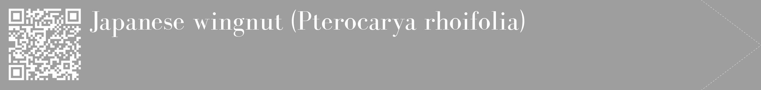 Étiquette de : Pterocarya rhoifolia - format c - style blanche42_simple_simplebod avec qrcode et comestibilité