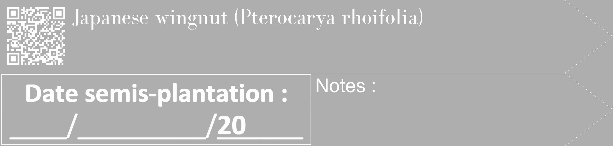 Étiquette de : Pterocarya rhoifolia - format c - style blanche53_simple_simplebod avec qrcode et comestibilité