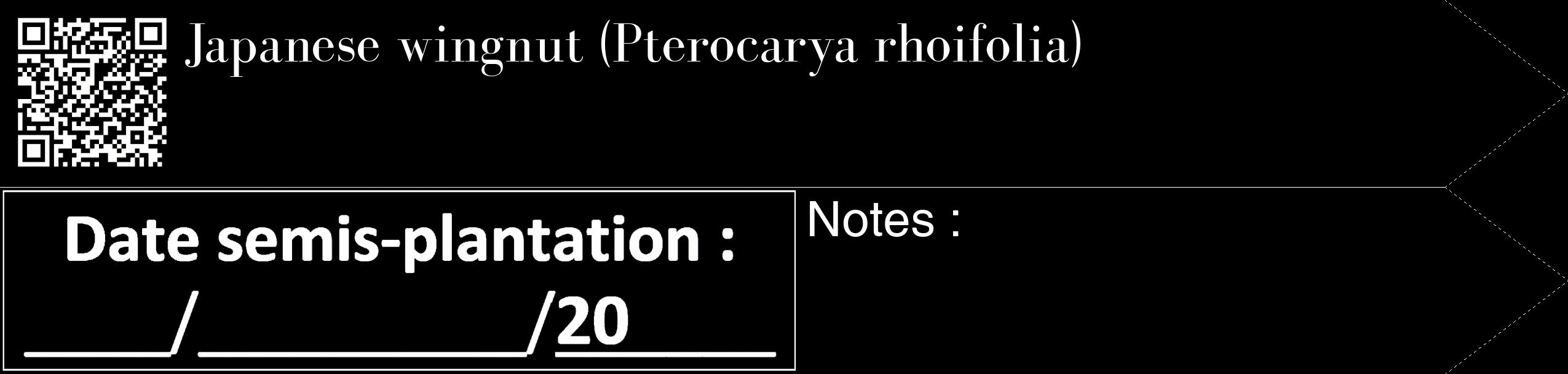 Étiquette de : Pterocarya rhoifolia - format c - style blanche59_simple_simplebod avec qrcode et comestibilité