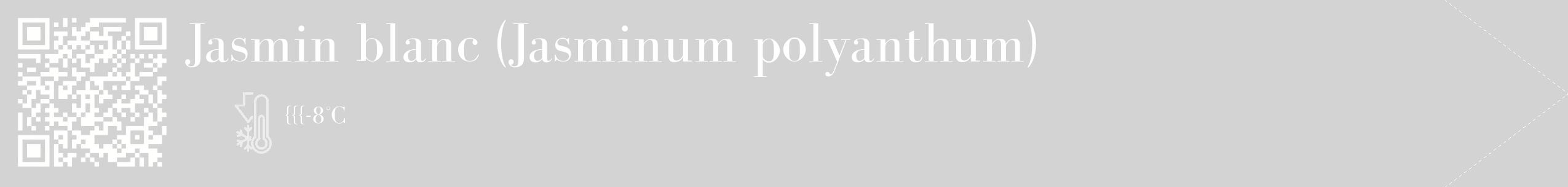 Étiquette de : Jasminum polyanthum - format c - style blanche56_simple_simplebod avec qrcode et comestibilité