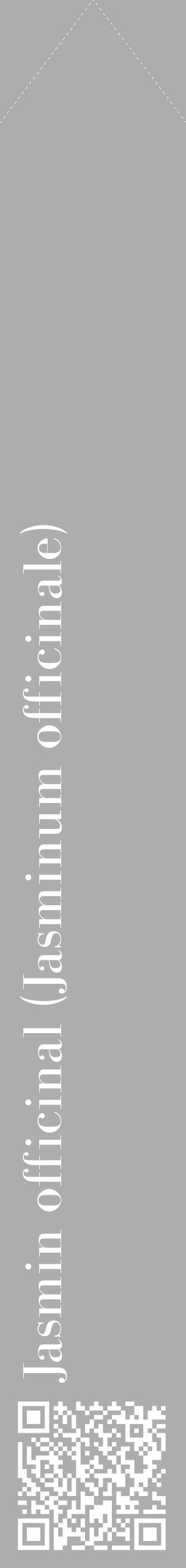 Étiquette de : Jasminum officinale - format c - style blanche22_simple_simplebod avec qrcode et comestibilité - position verticale