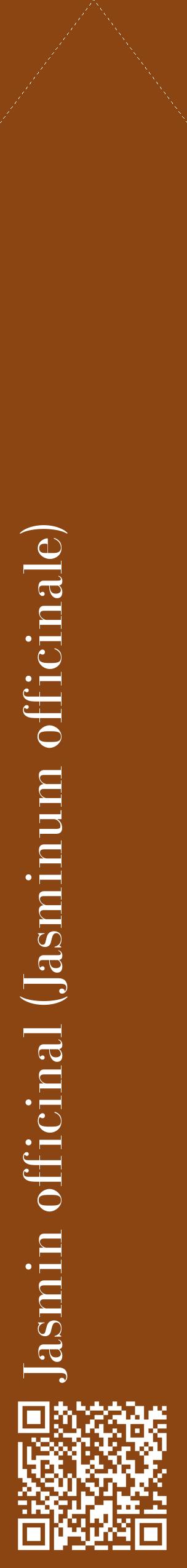 Étiquette de : Jasminum officinale - format c - style blanche30_simplebod avec qrcode et comestibilité