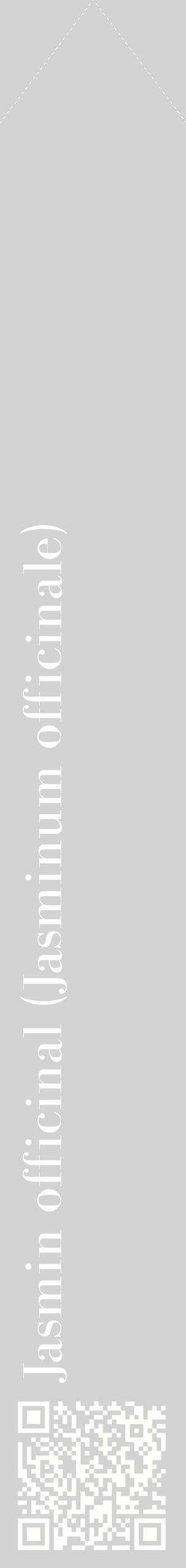 Étiquette de : Jasminum officinale - format c - style blanche56_simplebod avec qrcode et comestibilité