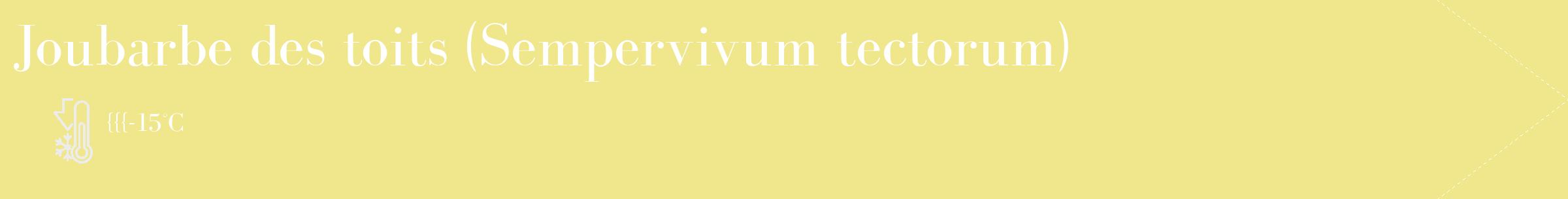 Étiquette de : Sempervivum tectorum - format c - style blanche20_simple_simplebod avec comestibilité
