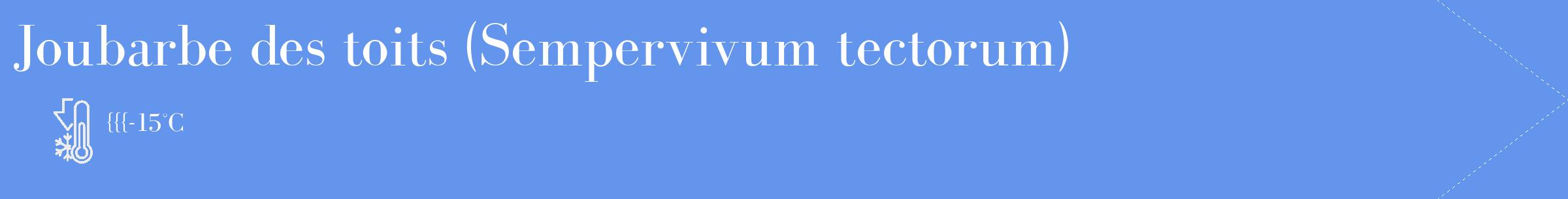 Étiquette de : Sempervivum tectorum - format c - style blanche4_simple_simplebod avec comestibilité