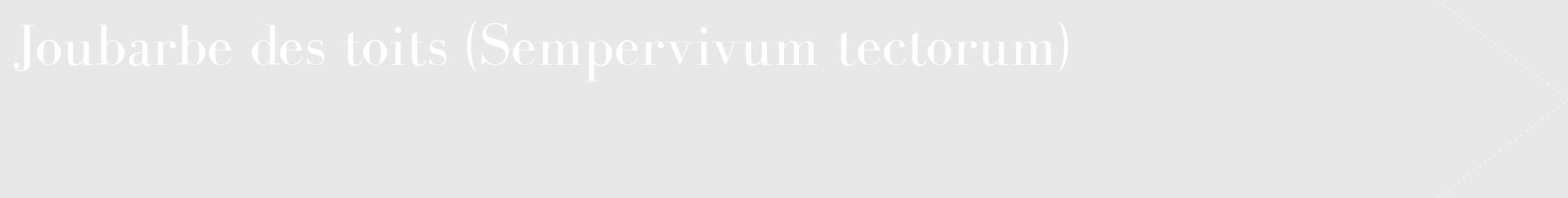 Étiquette de : Sempervivum tectorum - format c - style blanche55_simple_simplebod avec comestibilité