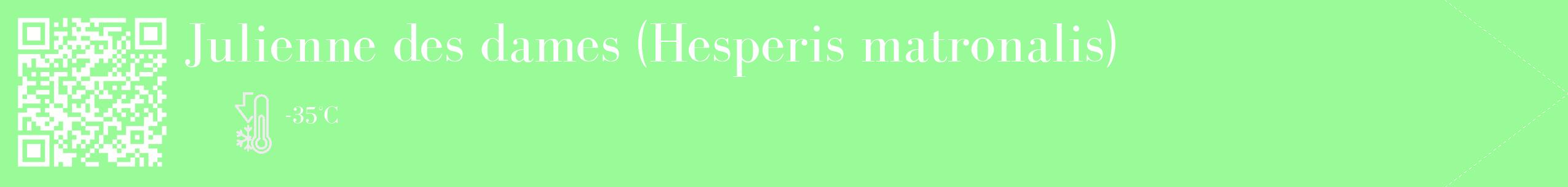 Étiquette de : Hesperis matronalis - format c - style blanche14_simple_simplebod avec qrcode et comestibilité