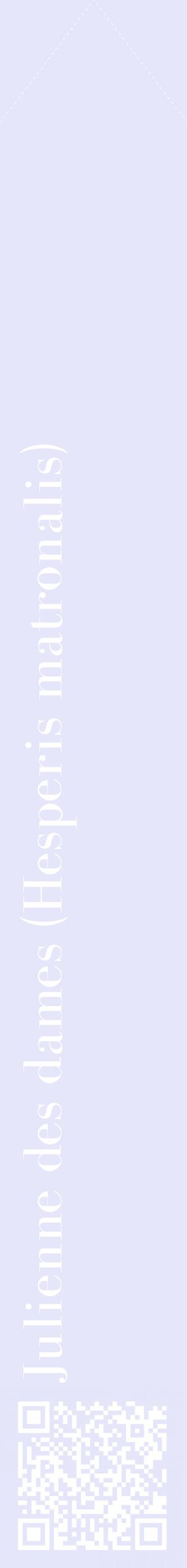 Étiquette de : Hesperis matronalis - format c - style blanche55_simplebod avec qrcode et comestibilité