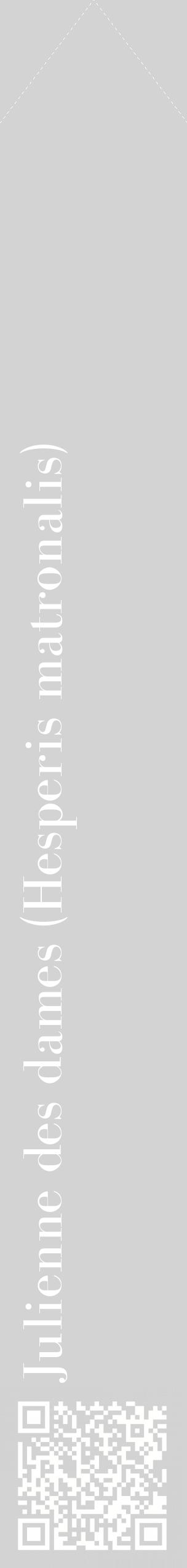 Étiquette de : Hesperis matronalis - format c - style blanche56_simplebod avec qrcode et comestibilité