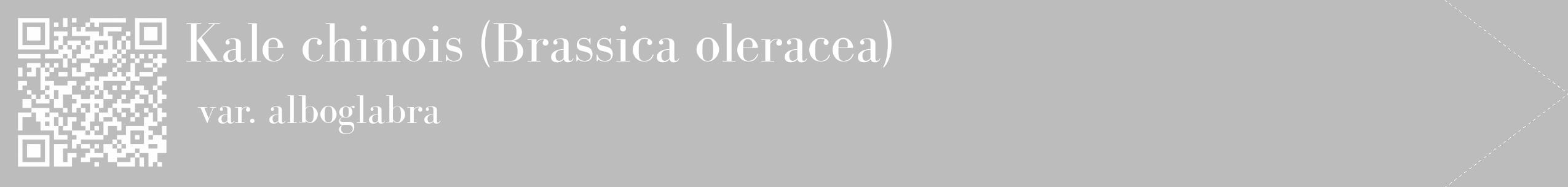 Étiquette de : Brassica oleracea var. alboglabra - format c - style blanche1_simple_simplebod avec qrcode et comestibilité
