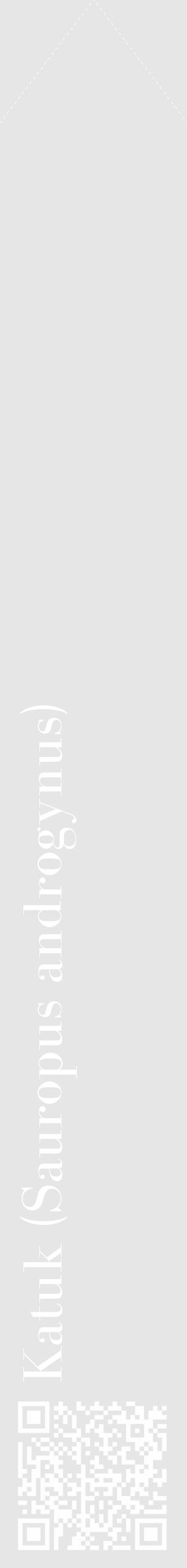 Étiquette de : Sauropus androgynus - format c - style blanche18_simple_simplebod avec qrcode et comestibilité - position verticale