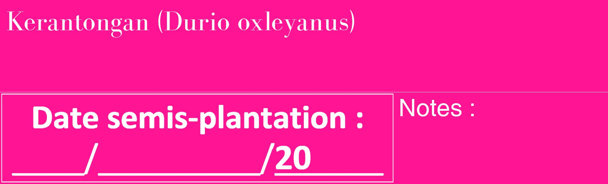 Étiquette de : Durio oxleyanus - format c - style blanche43_basique_basiquebod avec comestibilité