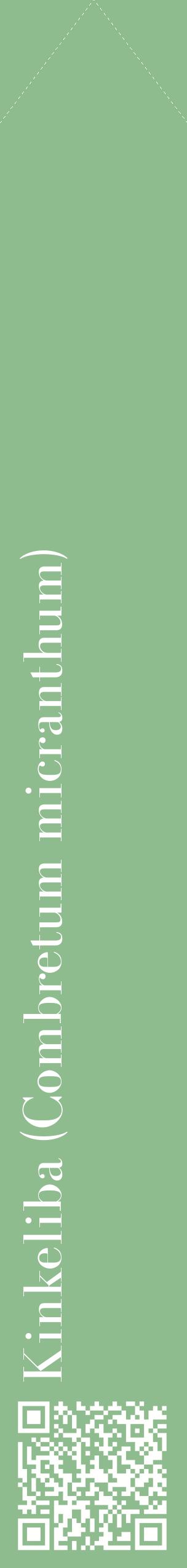 Étiquette de : Combretum micranthum - format c - style blanche13_simplebod avec qrcode et comestibilité