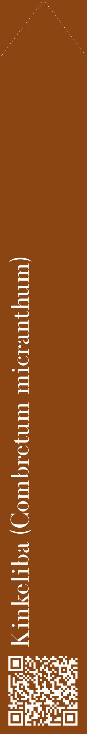 Étiquette de : Combretum micranthum - format c - style blanche30_simplebod avec qrcode et comestibilité