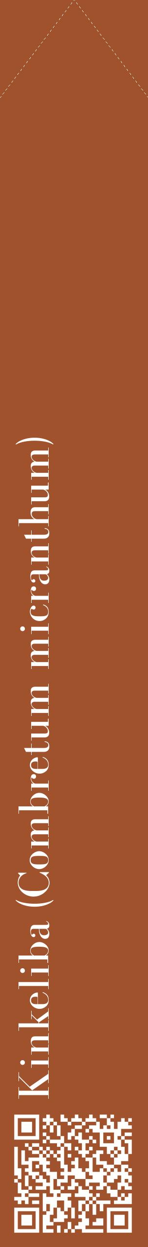 Étiquette de : Combretum micranthum - format c - style blanche32_simplebod avec qrcode et comestibilité
