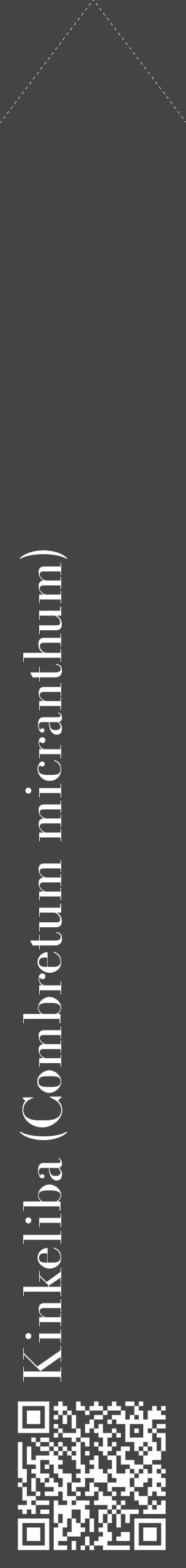 Étiquette de : Combretum micranthum - format c - style blanche48_simple_simplebod avec qrcode et comestibilité - position verticale