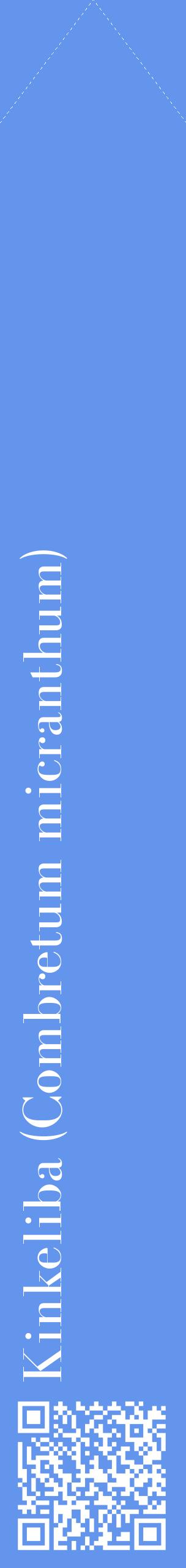 Étiquette de : Combretum micranthum - format c - style blanche4_simplebod avec qrcode et comestibilité