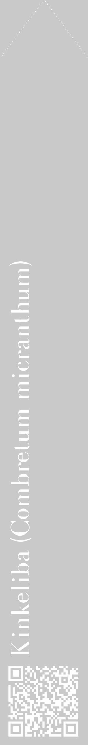 Étiquette de : Combretum micranthum - format c - style blanche54_simple_simplebod avec qrcode et comestibilité - position verticale