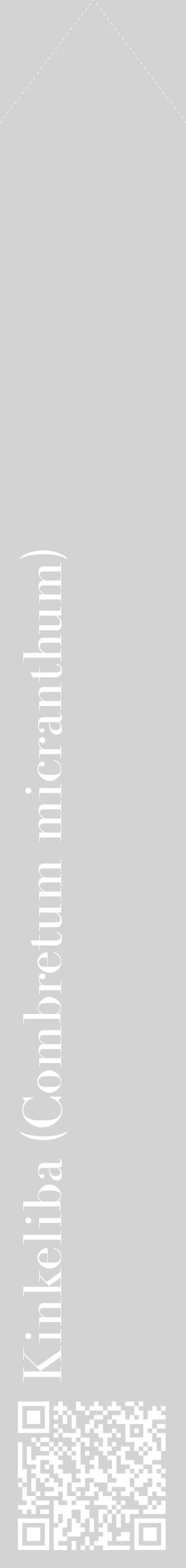 Étiquette de : Combretum micranthum - format c - style blanche56_simplebod avec qrcode et comestibilité