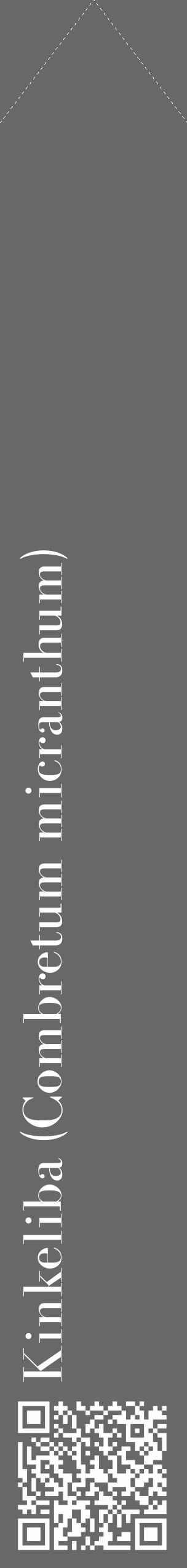 Étiquette de : Combretum micranthum - format c - style blanche6_simple_simplebod avec qrcode et comestibilité - position verticale