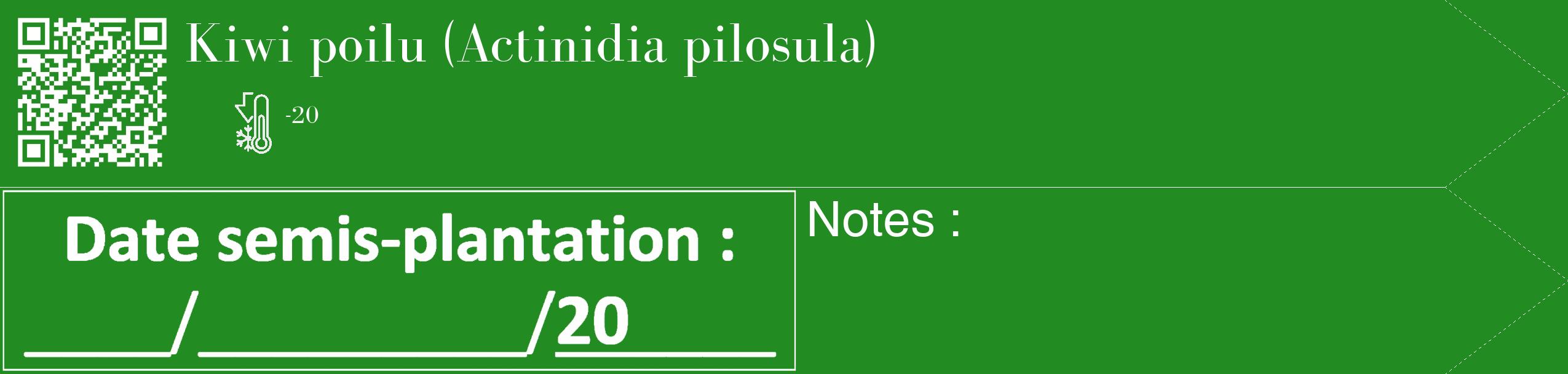 Étiquette de : Actinidia pilosula - format c - style blanche10_simple_simplebod avec qrcode et comestibilité