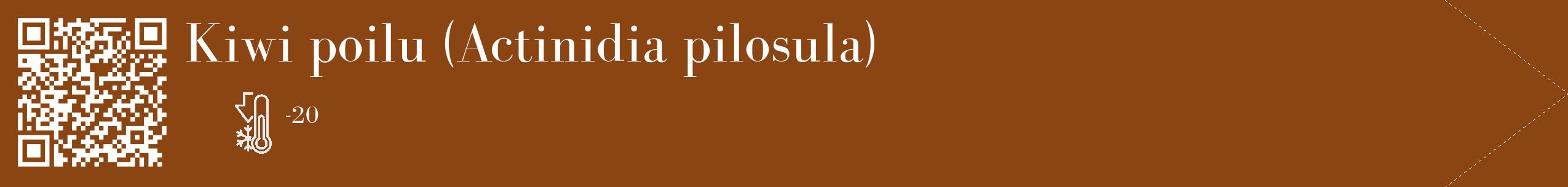 Étiquette de : Actinidia pilosula - format c - style blanche30_simple_simplebod avec qrcode et comestibilité