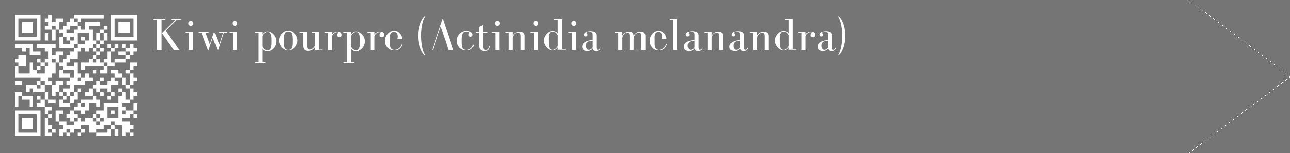Étiquette de : Actinidia melanandra - format c - style blanche5_simple_simplebod avec qrcode et comestibilité