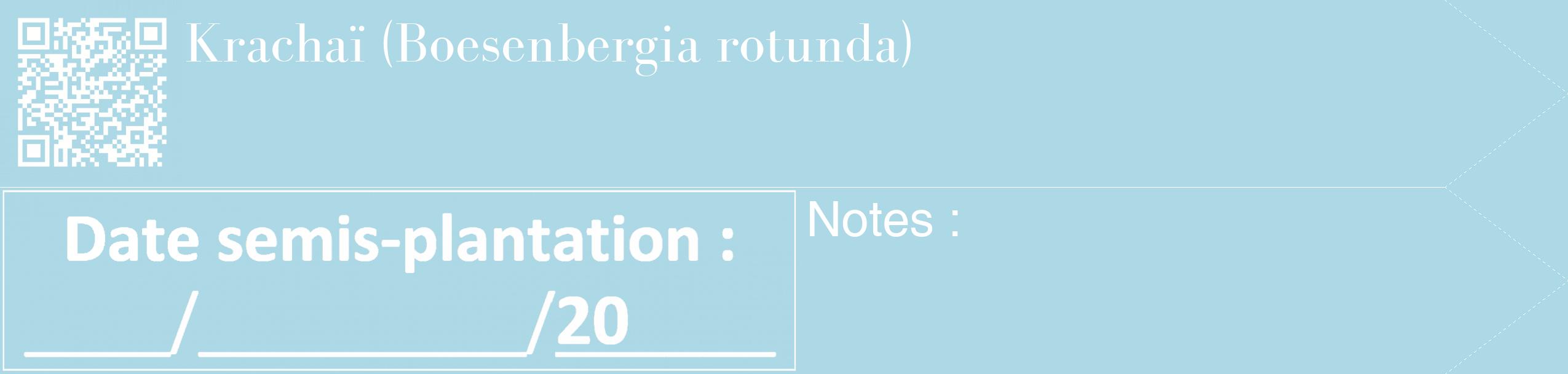 Étiquette de : Boesenbergia rotunda - format c - style blanche0_simple_simplebod avec qrcode et comestibilité