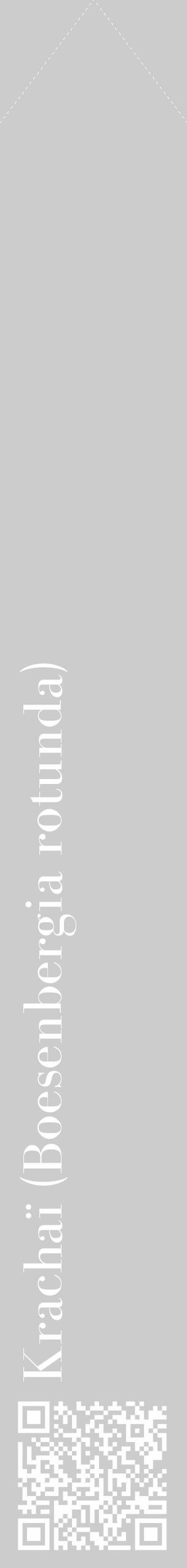 Étiquette de : Boesenbergia rotunda - format c - style blanche0_simple_simplebod avec qrcode et comestibilité - position verticale