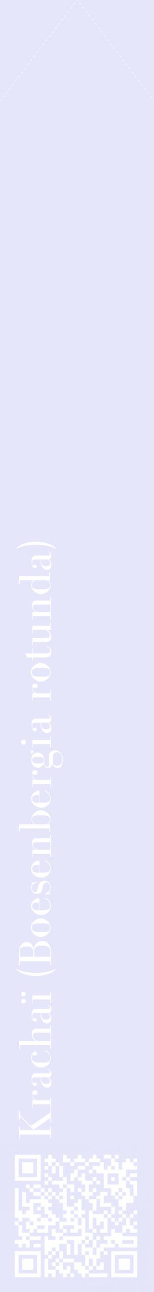 Étiquette de : Boesenbergia rotunda - format c - style blanche55_simplebod avec qrcode et comestibilité