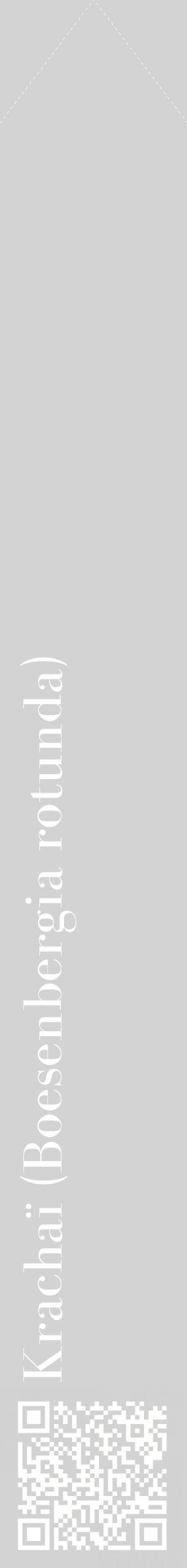 Étiquette de : Boesenbergia rotunda - format c - style blanche56_simplebod avec qrcode et comestibilité