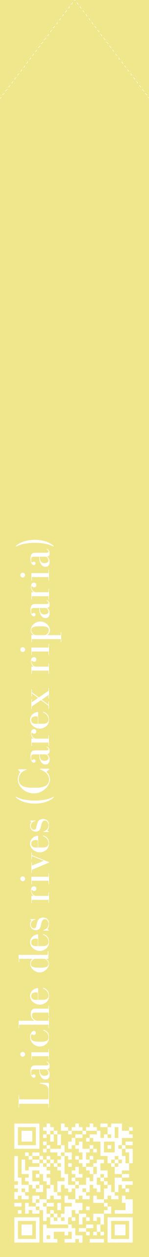 Étiquette de : Carex riparia - format c - style blanche20_simplebod avec qrcode et comestibilité
