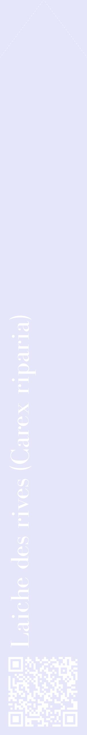 Étiquette de : Carex riparia - format c - style blanche55_simplebod avec qrcode et comestibilité