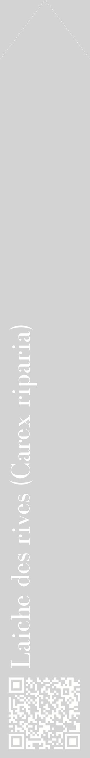 Étiquette de : Carex riparia - format c - style blanche56_simplebod avec qrcode et comestibilité