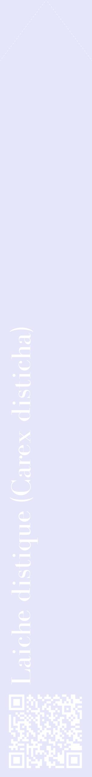 Étiquette de : Carex disticha - format c - style blanche55_simplebod avec qrcode et comestibilité