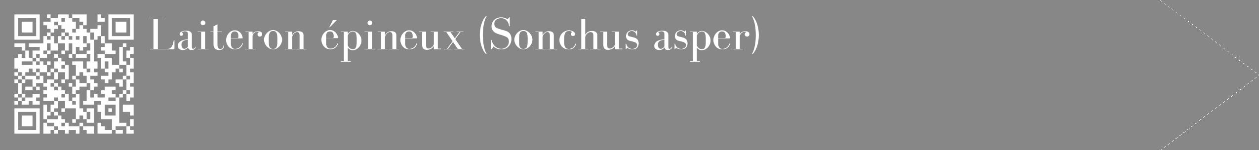Étiquette de : Sonchus asper - format c - style blanche12_simple_simplebod avec qrcode et comestibilité