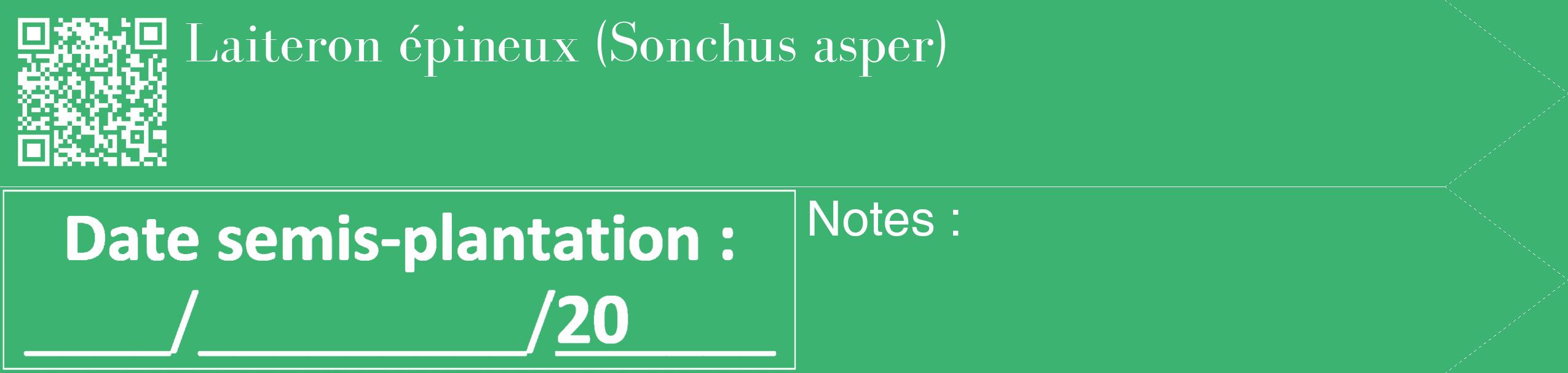 Étiquette de : Sonchus asper - format c - style blanche12_simple_simplebod avec qrcode et comestibilité