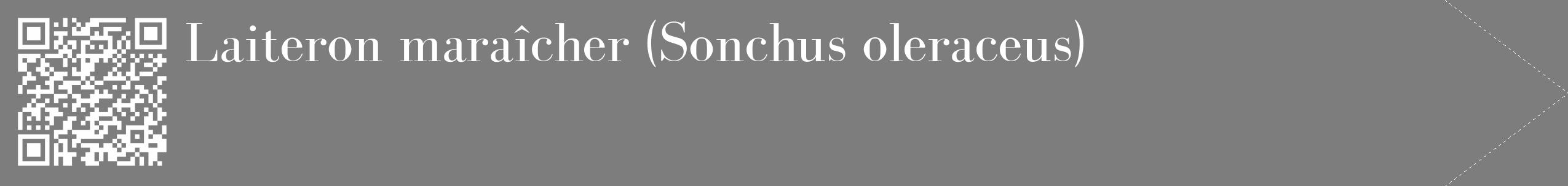 Étiquette de : Sonchus oleraceus - format c - style blanche35_simple_simplebod avec qrcode et comestibilité