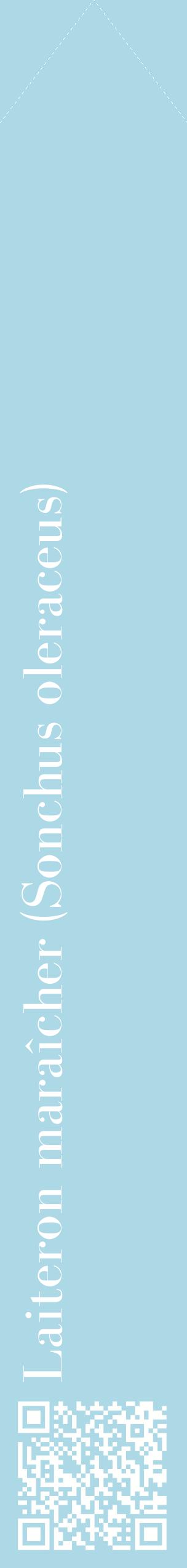 Étiquette de : Sonchus oleraceus - format c - style blanche0_simplebod avec qrcode et comestibilité