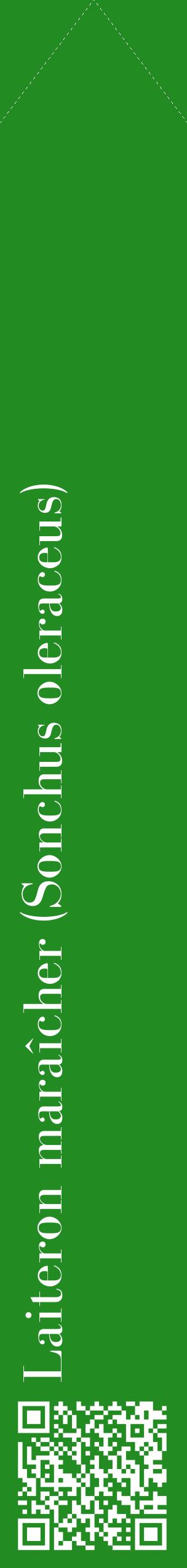Étiquette de : Sonchus oleraceus - format c - style blanche10_simplebod avec qrcode et comestibilité