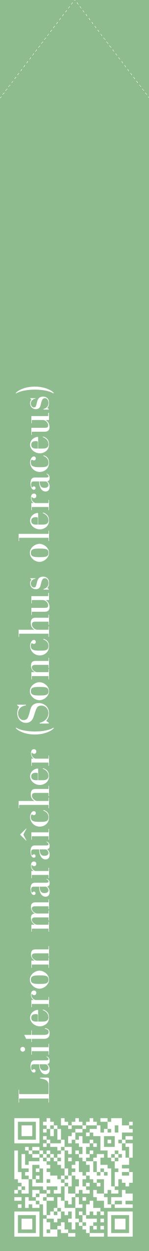 Étiquette de : Sonchus oleraceus - format c - style blanche13_simplebod avec qrcode et comestibilité